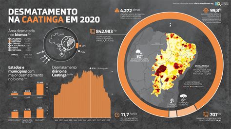 Mapbiomas Alerta Site