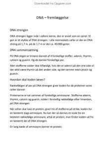 Dna Rapport Biologi Opgaver