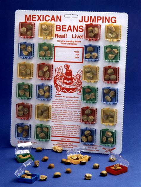 Chaparral Novelties Live Mexican Jumping Beans From Mexico