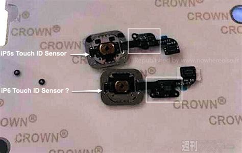 Claimed photos emerge of "more durable" Touch ID sensor for iPhone 6 ...