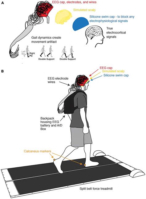 Frontiers Independent Component Analysis Of Gait Related Movement