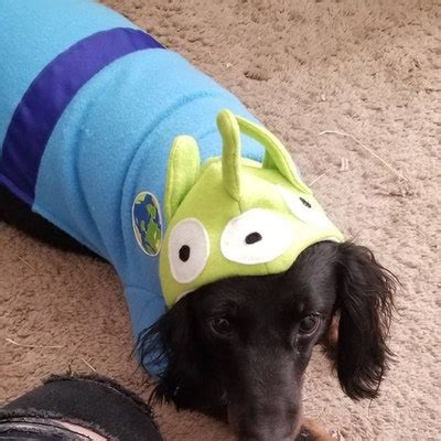 Alien Dog Costume, Toy Story Alien Dog Outfit, Halloween Dog Outfit ...