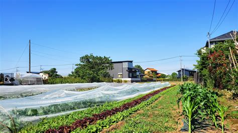 農園 四季巡り：埼玉県さいたま市 はたけビュッフェ