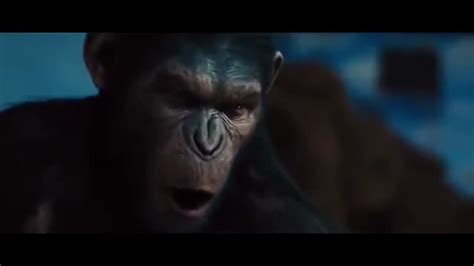 Rise of the planet of the apes - Caesar No | Perfect Meme Video Clip