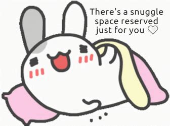 Snuggle Space Reserved Bunny Gifdb