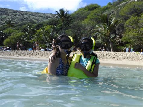 Guide to snorkeling on Oahu | Pure Aloha Adventures