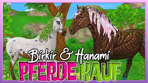 Ich KAUFE Das Magische Pferd HANAMI Percheron Pferdekauf SSO YouTube