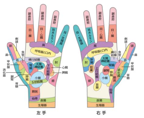 手のひらの21個のツボ、9個の反射区とは？効果、押し方のご紹介｜手のツボが痛い理由、肩こりに効くツボは？ 手のリフレクソロジー つぼマッサージ ツボ