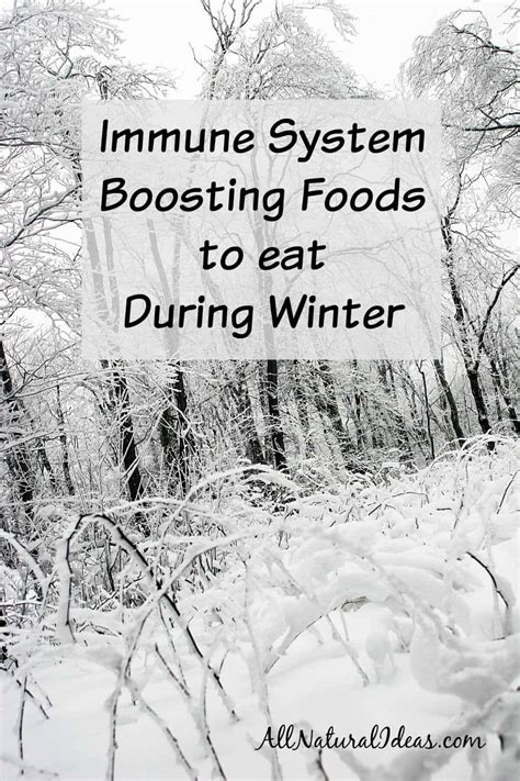 Immune System Boosting Foods | All Natural Ideas