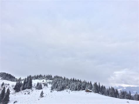 Fotos gratis paisaje naturaleza bosque montaña frío nube cielo