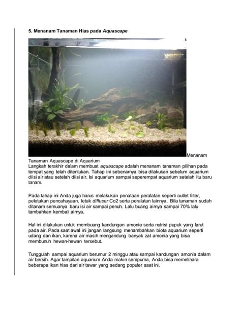 Cara Membuat Aquascape Di Aquarium Dengan Cara Yang Mudah PDF