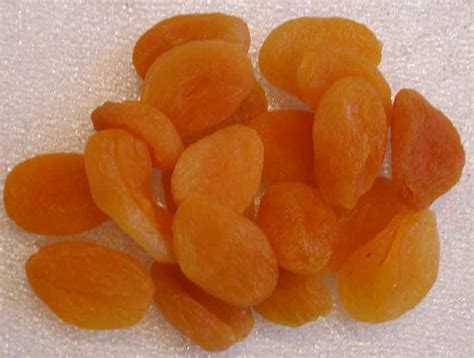 Dried Apricots Ingredients Descriptions And Photos An All Creatures