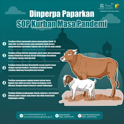 Cara Menyembelih Hewan Kurban Yang Baik Dan Benar