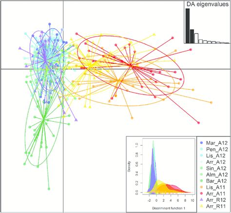 Scatterplot Of The Dapc Individual Adult Genotypes Are Represented In