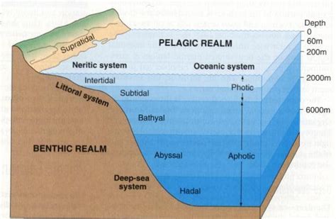 MMA Sea Term - Follow the Voyage: FTV 2/18/2-12 Ocean Zones