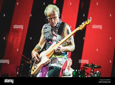 Zurich Hallenstadion October Th Flea Bassist Of The American Funk Rock Band Red Hot