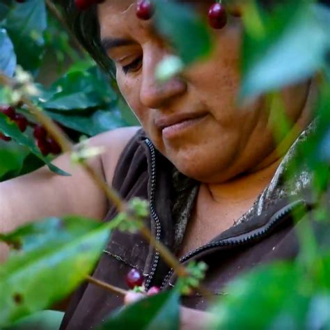 Rebeca Una Mujer Que Si Puede Suum