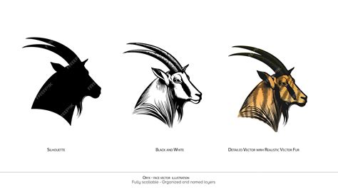 Oryx Face Only Vector Illustration Animal Drawing Oryx Detailed Vector