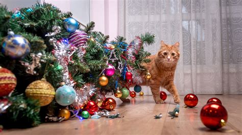 5 Tips To Help Keep Your Pets From Destroying Your Christmas Tree