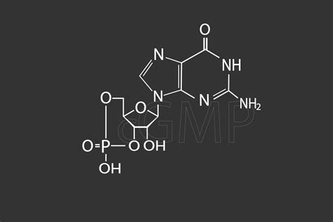 Cgmp Molecular Skeletal Chemical Formula 37960317 Vector Art At Vecteezy