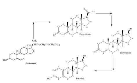 11 6 Steroids Chemistry Libretexts