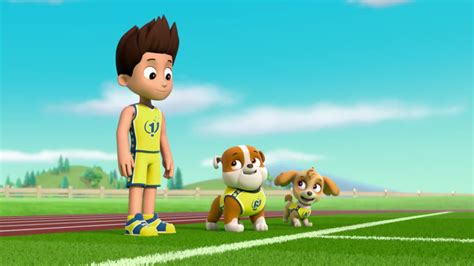 Image Pups Soccer 41png Paw Patrol Wiki Fandom Powered By Wikia