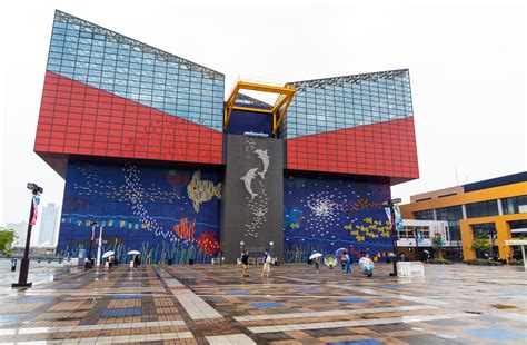 Osaka Aquarium Kaiyukan Review, Info & Tips - Travel Caffeine