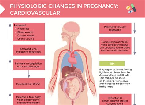 Postpartum Urinary Retention Free Cheat Sheet Postnatal Urinary