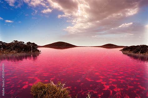 An Illustration Of Lake Hillier In Australia High Salinity Water