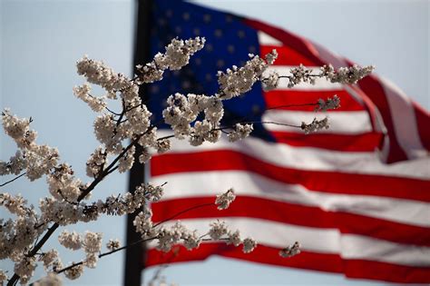 Ronald Reagan Freedom Speech. “Freedom is never more than one… | by ...