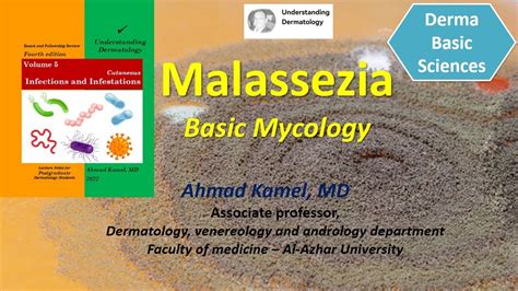 Malassezia Basic Mycology Youtube