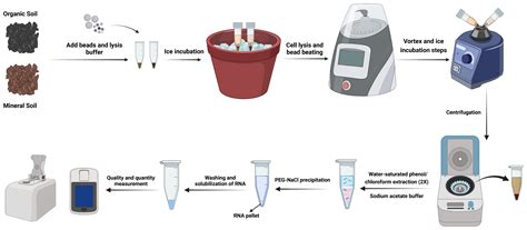 Soil Metatranscriptomics An Improved RNA Extraction Method Toward