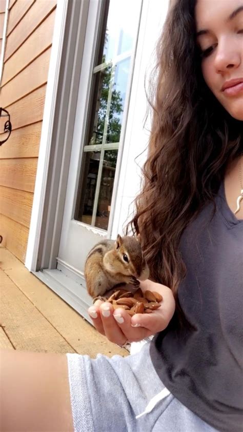 Chipmunk 💜 her name is pip | Funny animals, Animal rescue, Wildlife ...