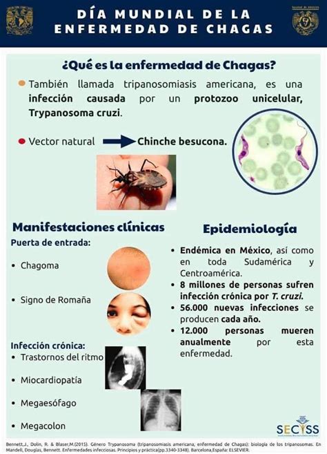 Temen Por Enfermedad De Chagas Por “chinche Besucona” Principalmente En Zonas Rurales El