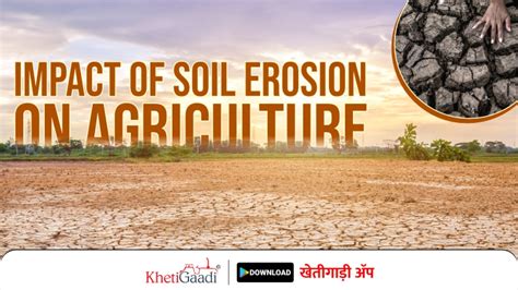 Impact Of Soil Erosion On Agriculture