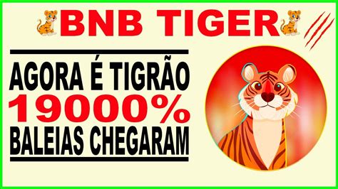 Bnb Tiger E O Sonho Da Nova Shiba Inu Coin Renasceu Baleias