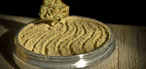 What Is Kief Weed 10 Fantastical Things You Didnt Know