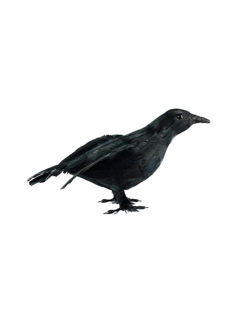 The Holiday Aisle® Flying Black Crow Figurine Realistic Halloween Crow