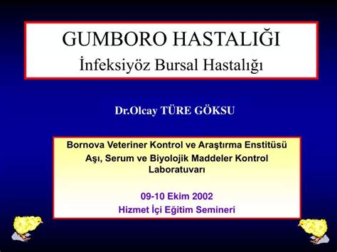 PPT GUMBORO HASTALIĞI İnfeksiyöz Bursal Hastalığı PowerPoint