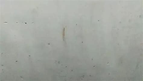 Cntpma Free Solo Man Porn Video D XHamster