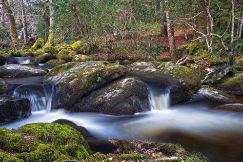 Baggrunde Tr Er Landskab Skov Vandfald Gammel Klippe Natur