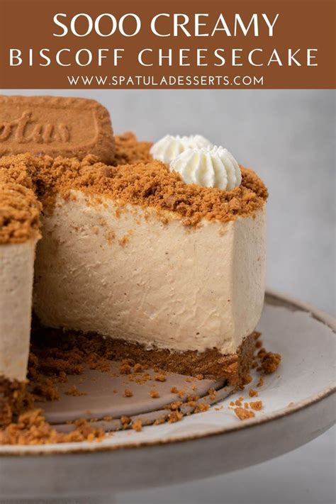 Biscoff Cheesecake Artofit