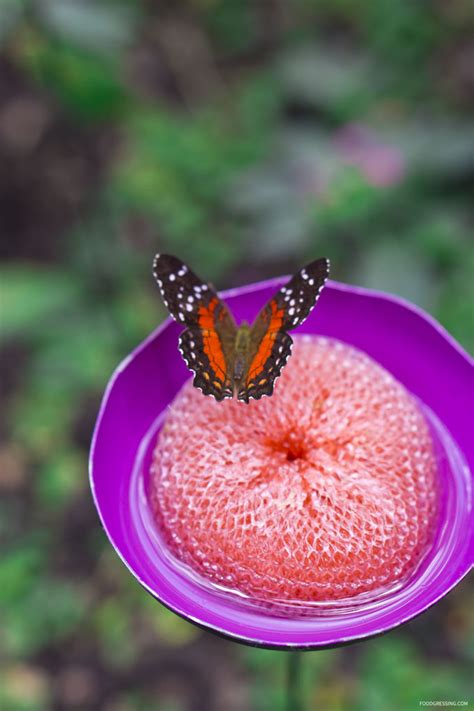 Seattle's Pacific Science Center with CityPASS - Foodgressing