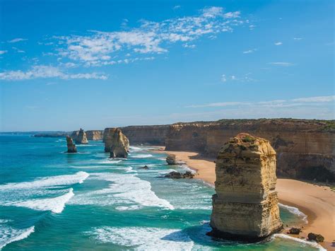 12 Apostles Nature And Wildlife Great Ocean Road Victoria Australia