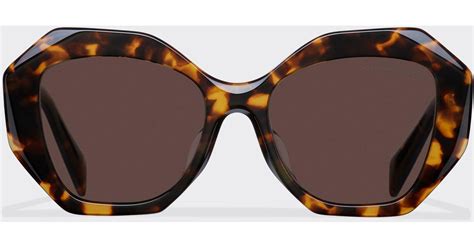 Prada Symbole Sunglasses In Brown Lyst