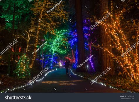 Portland Oregon November 29 2014 Grotto Stock Photo 234322102 ...