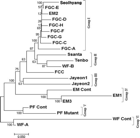 Neighbor Joining Dendrograms Based On Pairwise Distance Matrix