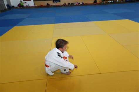 Img Est Gio Internacional De Judo Da Acad Mic Flickr