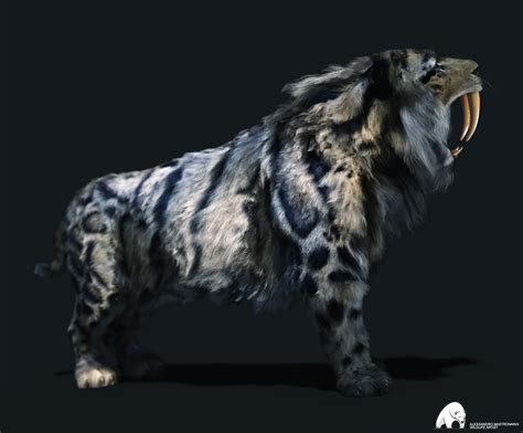 Smilodon Populator By Alexmastronardi On Deviantart