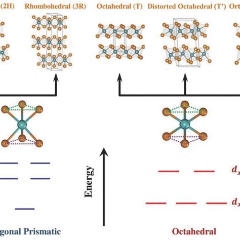 Interlayer Coupling Slows The Kinetics A Schematic Of Layered 1t‐tas2